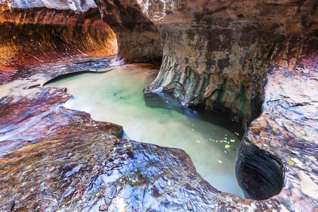 Eng in Slot Canyon, Zion National Park, Utah, USA