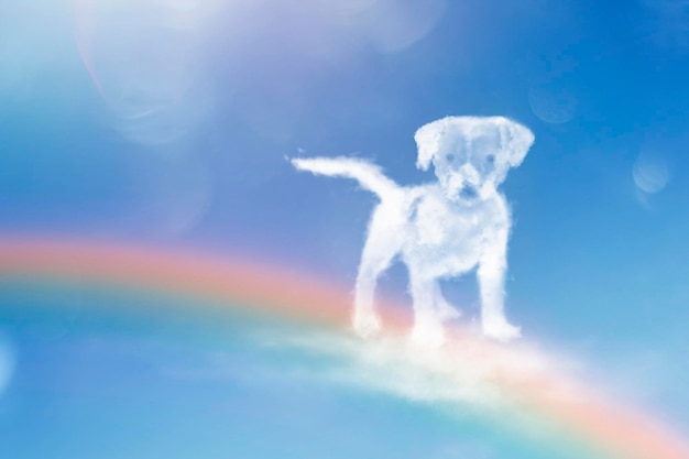 Foto engelshund, der auf den regenbogen geht. hundewolkenform