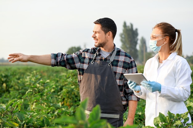 Engenheiros agrícolas trabalhando no campo