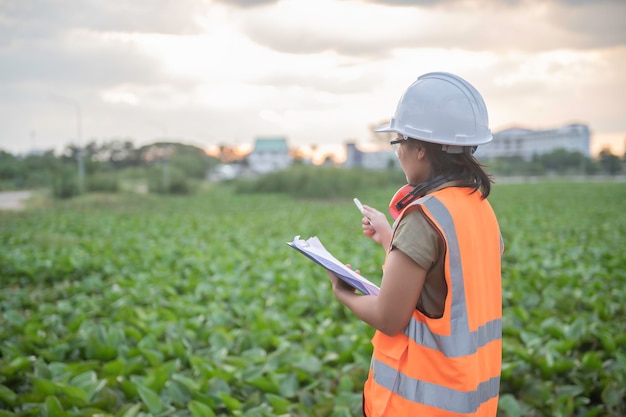 Engenheiros ambientais trabalham na usina de armazenamento de água verificam o pH da água verificam a qualidade da água