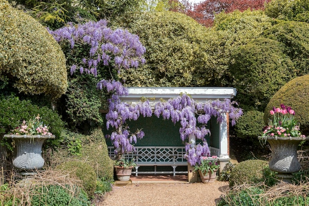 Foto england_parks_wisteria_tulips_ascott_house_gardens europa