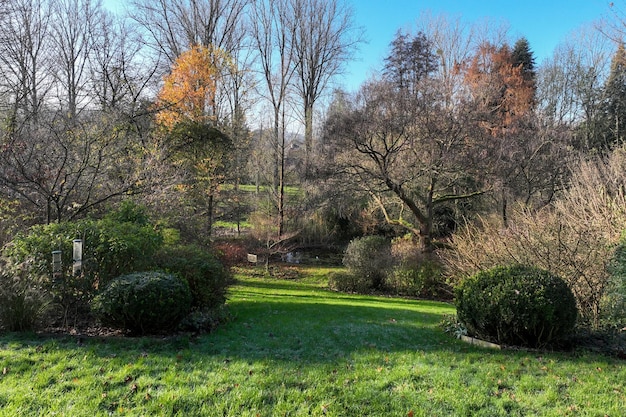 Englischer grüner Garten mit Wasserpfund und mehreren Arten von Bäumen und Pflanzen während der Wintersaison