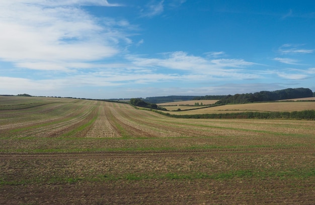 Englisches Landpanorama in Salisbury