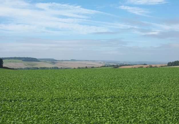 Englisches Landpanorama in Salisbury