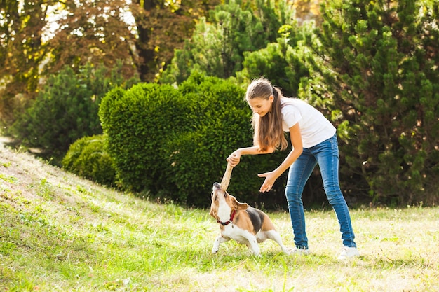 Engraçadinha jogando um pedaço de pau para um cachorro beagle ativo no parque