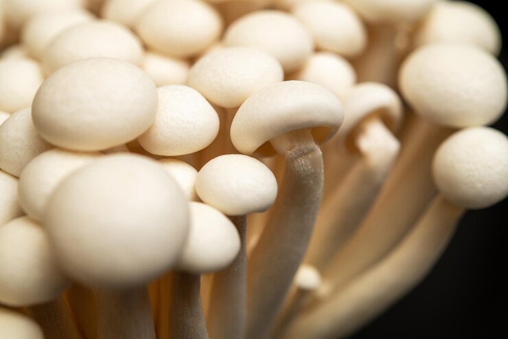 Enoki Mushrooms CloseUp Ingrediente gourmet para platos culinarios y recetas saludables en la cocina asiática