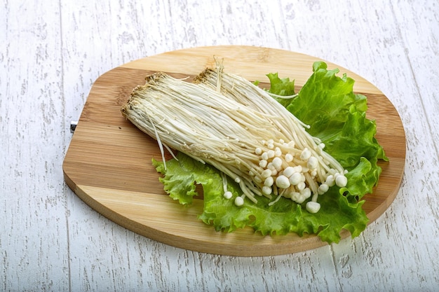 Enoki-Pilz