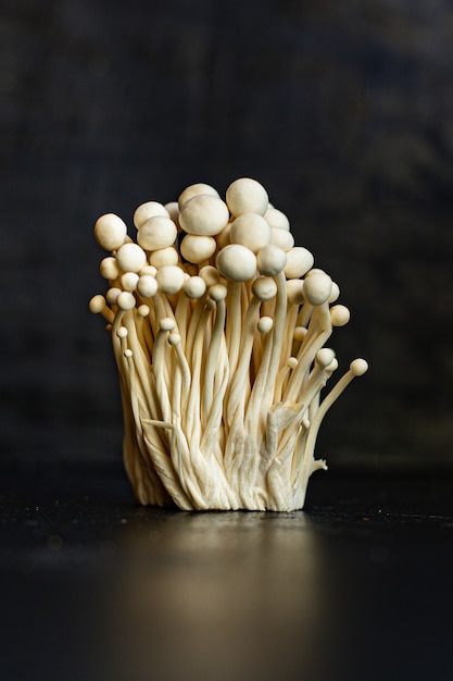 Enoki Pilze Enokitake Flammulina velutipes essbarer japanischer Snack Hot Pot Küche Goldene Nadel gesunde Mahlzeit Zutat Draufsicht, Keto oder Paläo Diät