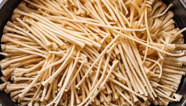 Enoki-Pilze, sogenannte goldene Nadel-Garnition, Sicht von oben Chinesische Küche Hotpot-Zutat