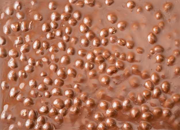 Foto enorme barra de chocolate con leche con avellanas enteras