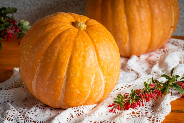 Enorme calabaza naranja madura