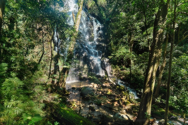 Una enorme cascada rodeada de hermosa naturaleza en el parque nacional Volcán de la vieja en Costa Rica