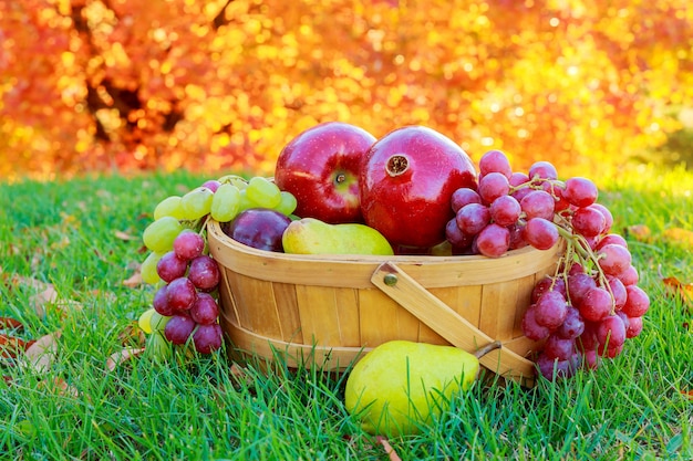 Enorme grupo de frutas y verduras frescas.