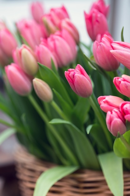 Enorme ramo de tulipanes rosas en amsterdam. Los países bajos