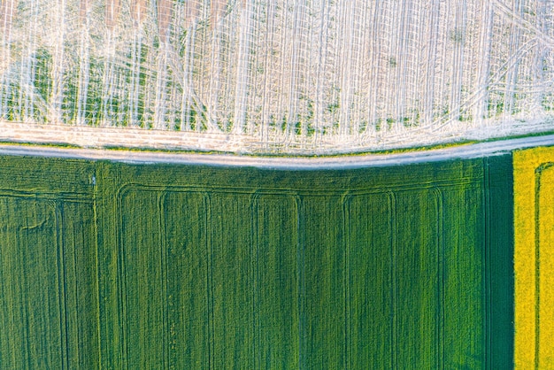 Enormes áreas de invernaderos para el cultivo de frutas y verduras Agricultura de invernadero en los campos agricultura