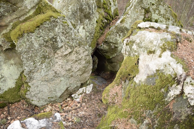 Enormes piedras en un bosque de pinos de primavera aldea Skripino Ulyanovsk Rusia la piedra en el bosque Skrzypinski Kuchury