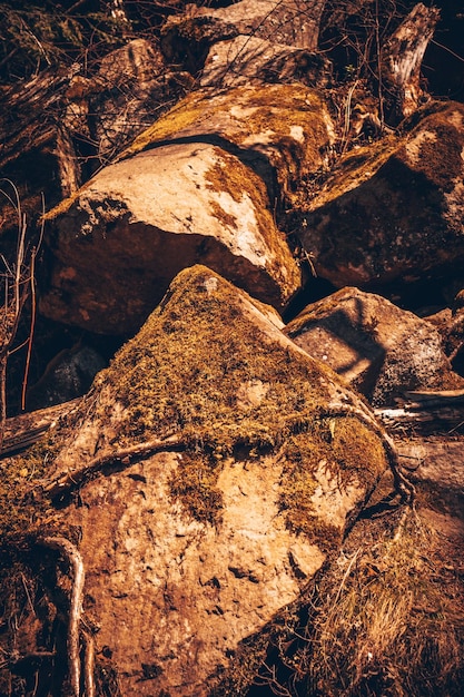 enormes rocas en el bosque