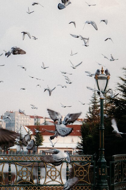 Foto enquadramento na rua