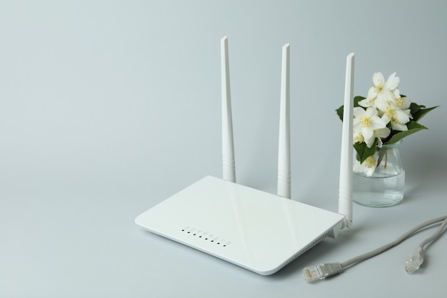 Enrutador Wi-Fi y flores sobre fondo gris