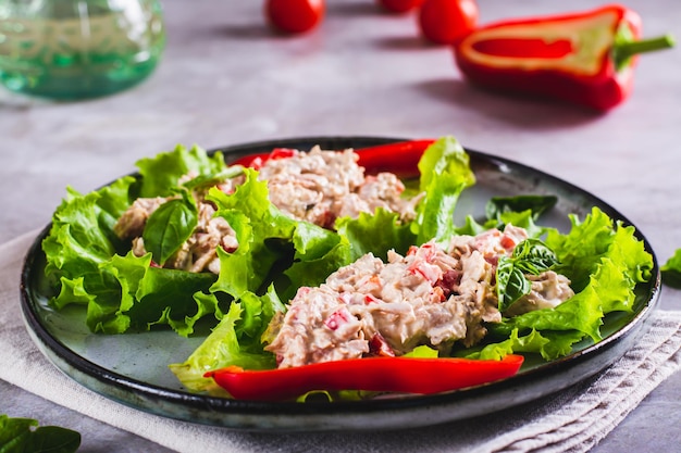 Foto ensalada de atún enlatado con verduras en hojas de lechuga en un plato