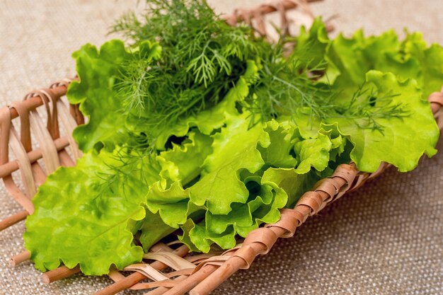 Ensalada y eneldo: hierbas para una deliciosa comida vegetariana, rica en vitaminas_