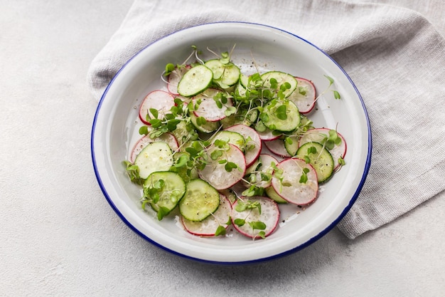 Ensalada fresca de pepino rábano y microvegetales en un plato plano sobre un fondo claro con espacio para copiar