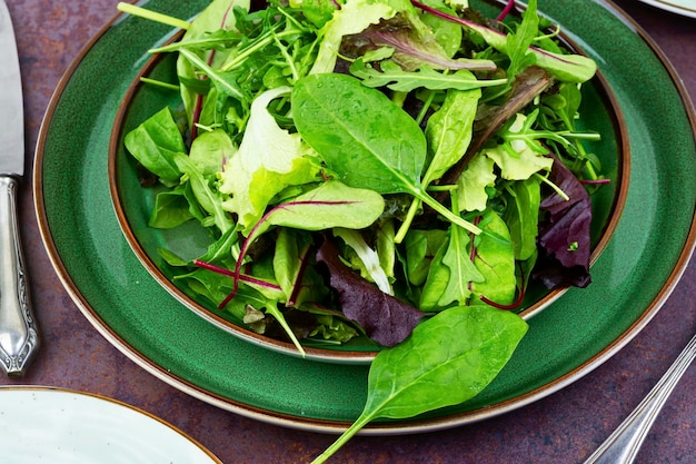 Ensalada fresca con verduras mixtas