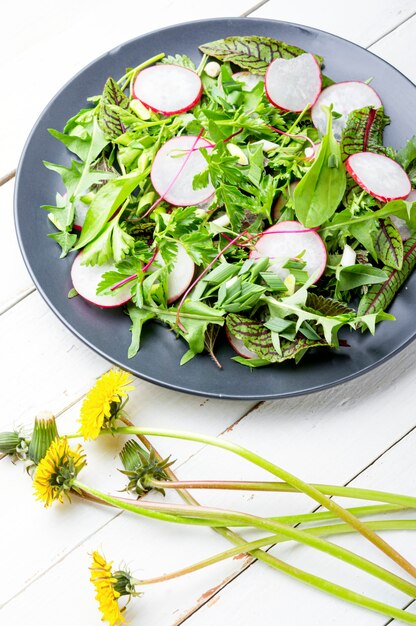 Ensalada de hierbas y rábanos