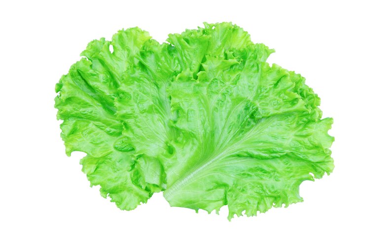 Foto ensalada de hojas. lechuga aislado sobre fondo blanco con trazado de recorte