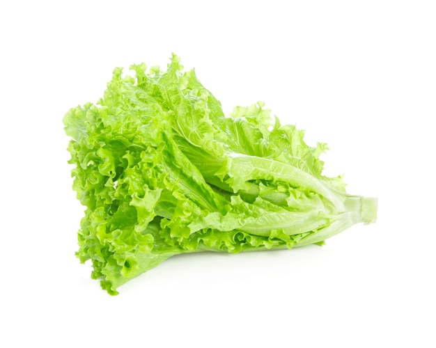 Ensalada de hojas. Lechuga en blanco.