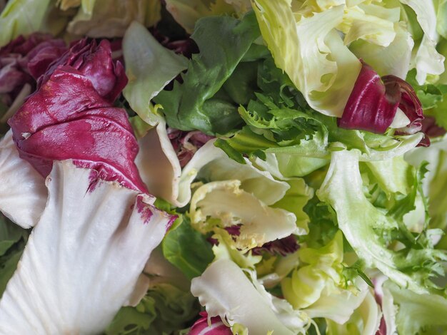 Ensalada de hojas mixtas