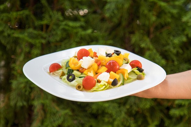 Ensalada y jugo de naranja con vasos de jugo de naranja y mesa de desayuno de frutas al aire libre