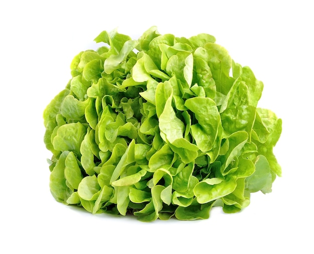 Ensalada de lechuga aislado en blanco