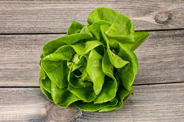 Ensalada de lechuga mantequilla hojas verdes