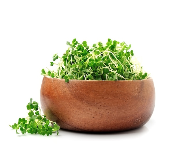 Ensalada de micro rúcula verde.