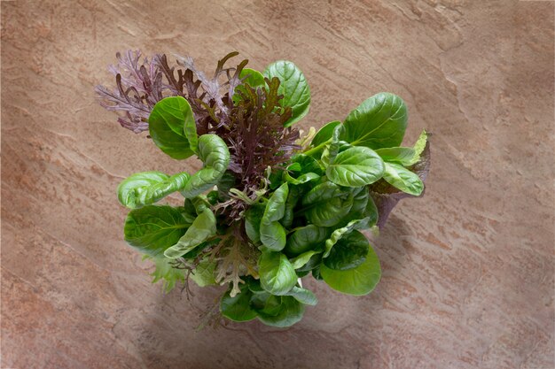 Ensalada mixta verde fresca en una mesa de madera