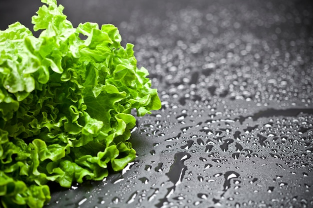 La ensalada orgánica verde de la lechuga con agua cae el primer