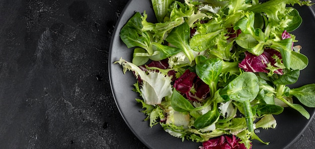 Ensalada en plato con espacio de copia