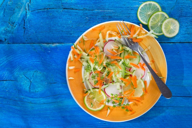 Ensalada de rábano y pepino