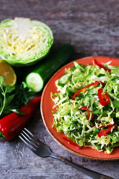 Foto ensalada con repollo fresco, hierbas y pepino.