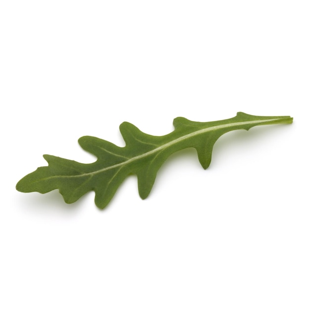 Ensalada de rúcula dulce o rúcula hojas aisladas sobre fondo blanco.