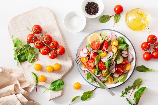 Ensalada de tomate vegana colorida saludable con pepino, rábano, cebolla