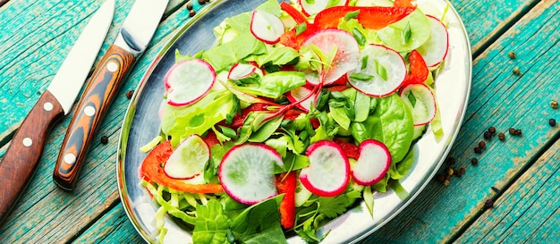 Ensalada de vegetales saludables a base de rábano, pimiento, repollo y verduras