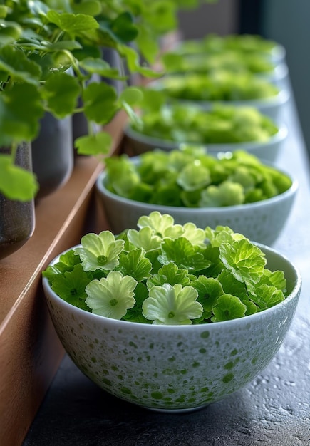 Ensalada verde fresca en un cuenco en una mesa de madera