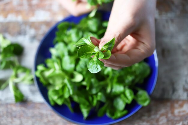 Ensalada verde fresca en manos masculinas. Ensalada de puré. Concepto de dieta.