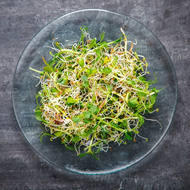 Ensalada verde fresca de la mezcla del verano.