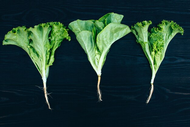 Ensalada verde orgánica madura aislada sobre fondo de madera negra