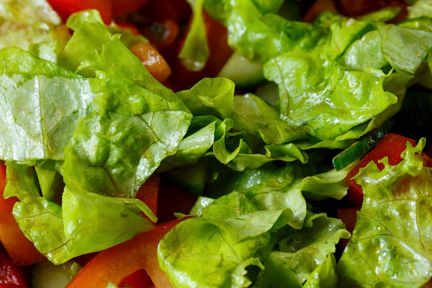 Foto ensalada de verduras frescas picadas en un plato para una chica vegetariana