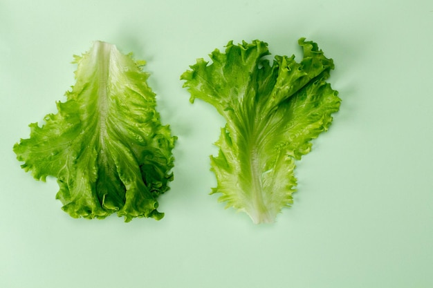 Ensalada de vista superior plana aislada sobre un fondo pastel de menta con una sombra Orientación horizontal