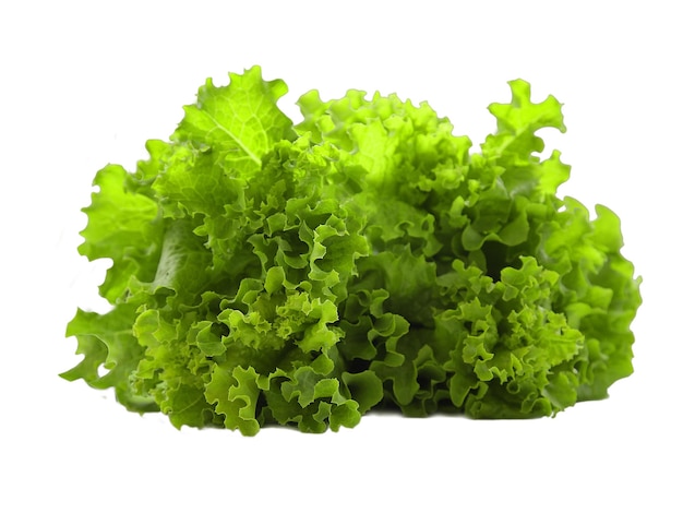 ensalada